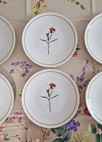  Beden çeşitli Renk Roy King Lavander All Design 24 adet takım.