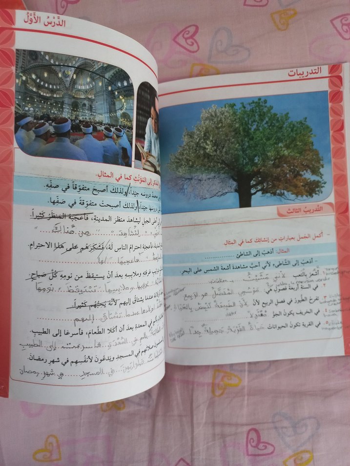 Arapça hazırlık kitabı - Görsel 2