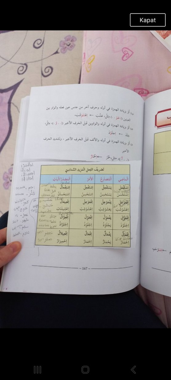 Üniversite Ders Kitapları Seti 6 Cilt - Görsel 5