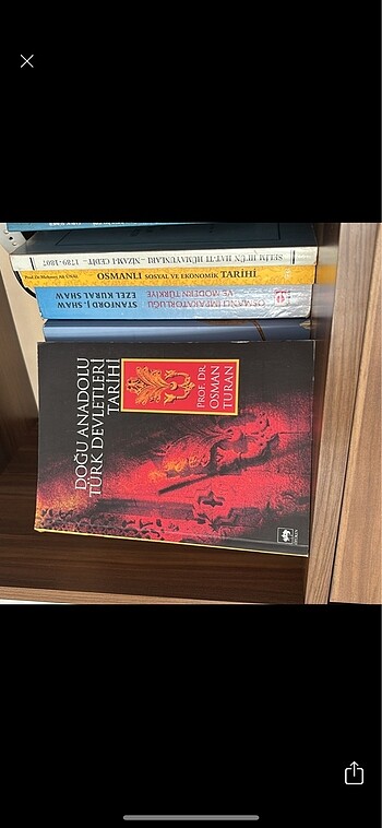 Doğu Anadolu Türk devletleri tarihi