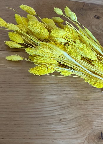 E.L.F Sarı Dekoratif Kurutulmuş Çiçek Demeti