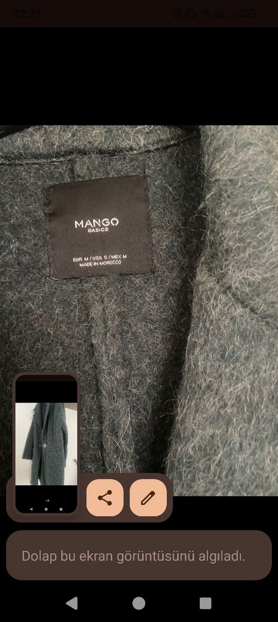 Mango yeşil kaban - Görsel 3