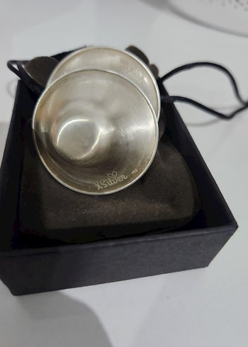 Gümüş kapak - Görsel 4