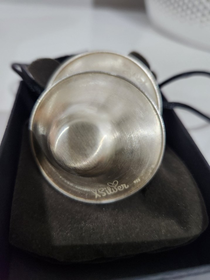 Gümüş kapak - Görsel 3