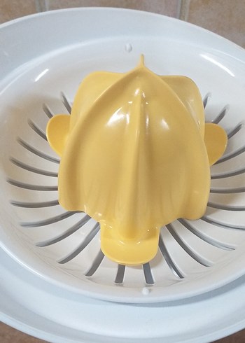 Bosch narenciye sıkacağı - Görsel 7