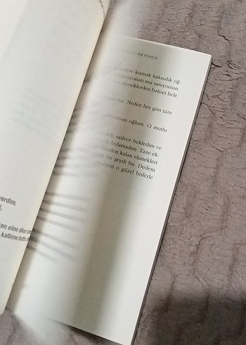 Çağrı Taner - Hüzünlü Bir Ponçik - Görsel 4