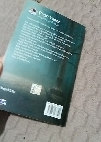 Çağrı Taner - Hüzünlü Bir Ponçik - Görsel 2