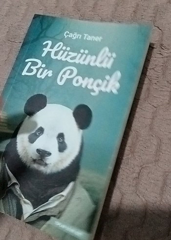 Çağrı Taner - Hüzünlü Bir Ponçik - Görsel 7