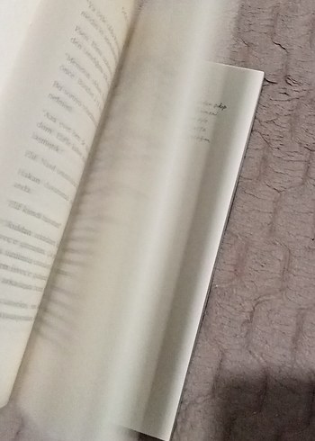 Çağrı Taner - Hüzünlü Bir Ponçik - Görsel 3