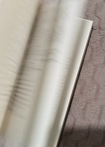 Çağrı Taner - Hüzünlü Bir Ponçik - Görsel 6