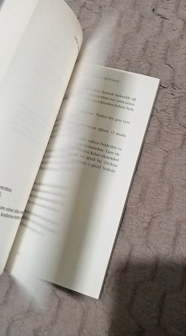 Çağrı Taner - Hüzünlü Bir Ponçik - Görsel 4