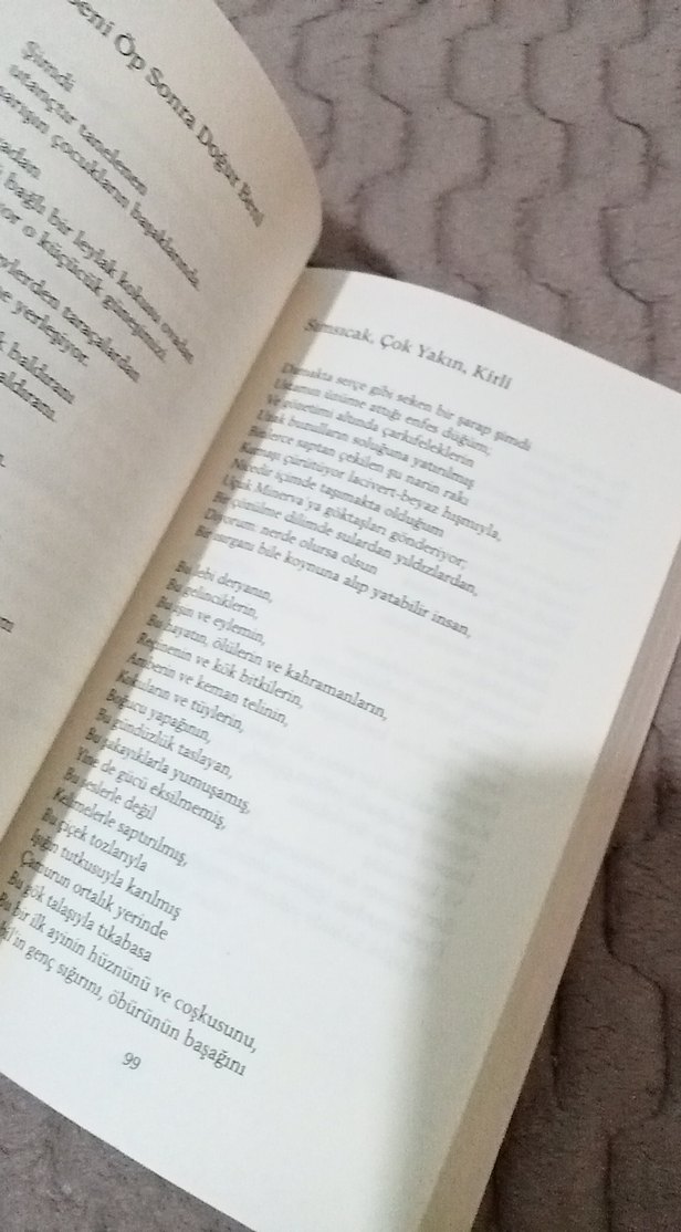 Cemal Süreya Sevda Sözleri - Bütün Şiirleri - Görsel 4