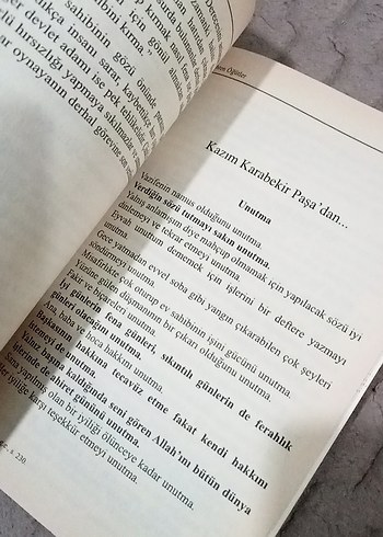 Tarihten Öğütler - Ziya Demirel - Görsel 6