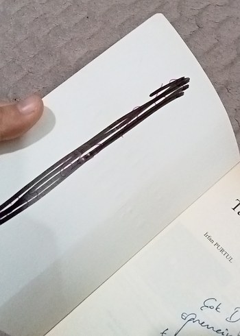 Tarihten Öğütler - Ziya Demirel - Görsel 5