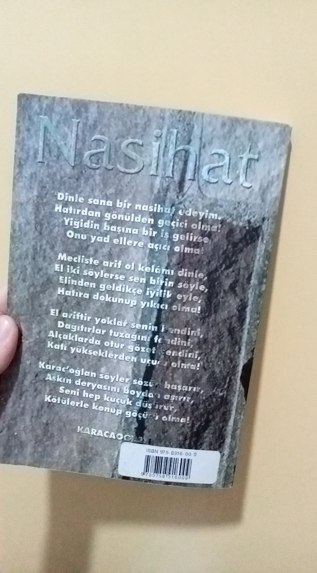 Tarihten Öğütler - Ziya Demirel - Görsel 2