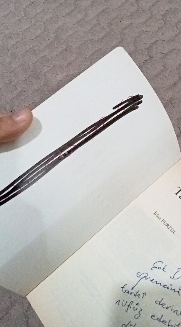 Tarihten Öğütler - Ziya Demirel - Görsel 5