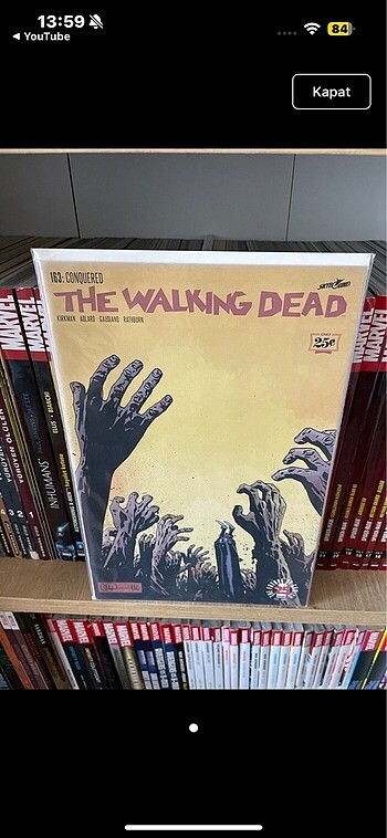 The Walking Dead #163-#184