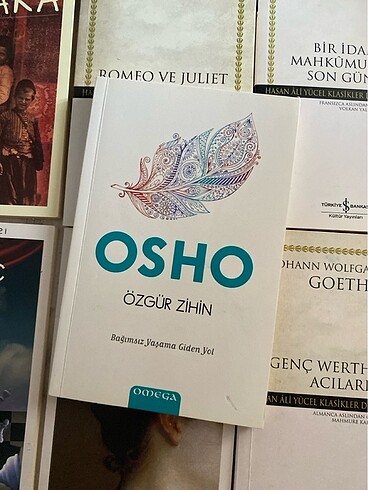 Osho Özgür zihin