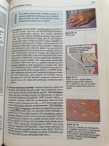 LİPPİNCOTT BİYOKİMYA - Görsel 3