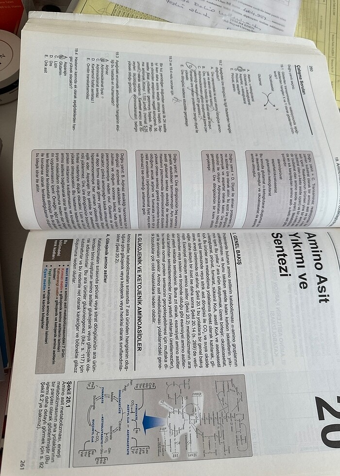 LİPPİNCOTT BİYOKİMYA - Görsel 2