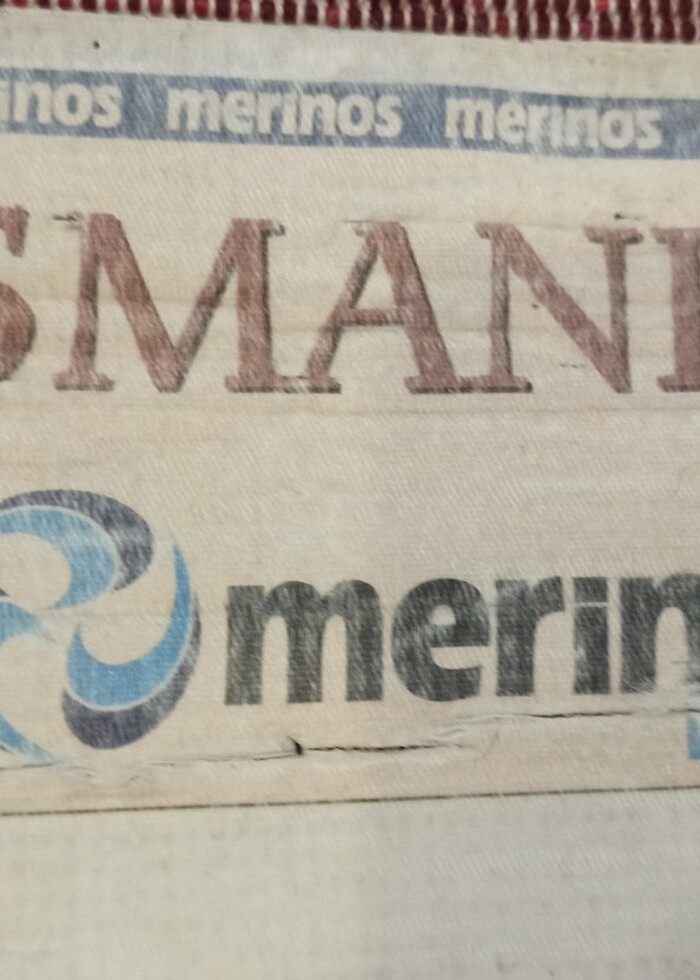 Merinos Osmanlı halı  - Görsel 3