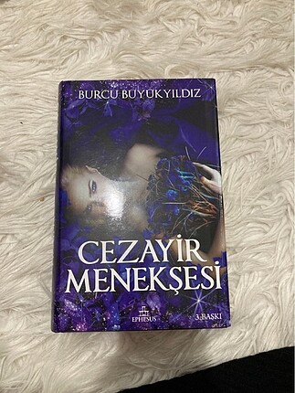 Cezayir Menekşesi