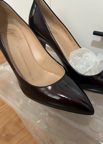 Giuseppe Zanotti 36,5