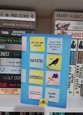Hayatın Kıyısında 