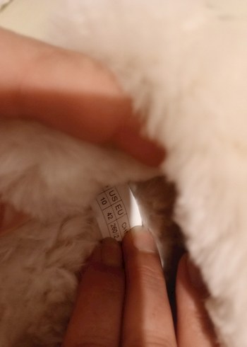 UGG  lacivert Kürk Detaylı Ev Terliği - Görsel 6