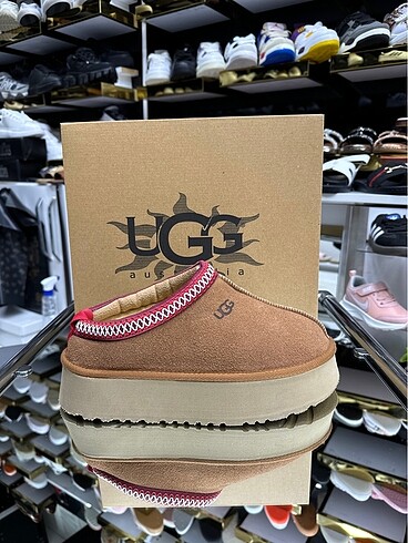 Ugg tazz