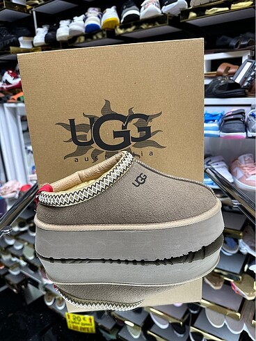 Ugg Tazz