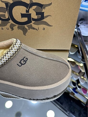 Ugg Ugg Tazz