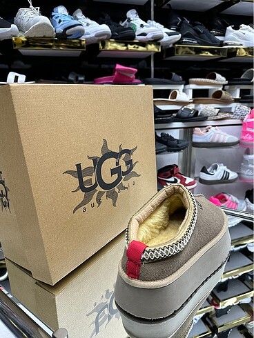 38 Beden Ugg Tazz