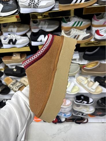 36 Beden Ugg tazz