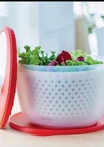 Tupperware Salatacı