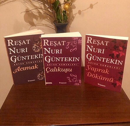 Reşat Nuri Güntekin 3 kitabı
