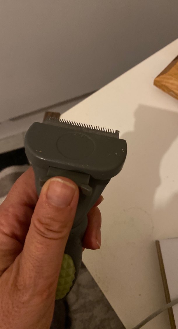 Gri ve haki kedi tüy tarama fırçası - Görsel 4