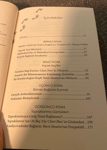 Topraklanma - Doğadan Gelen Şifa Kitabı - Görsel 4