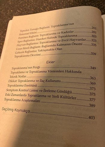 Topraklanma - Doğadan Gelen Şifa Kitabı - Görsel 5