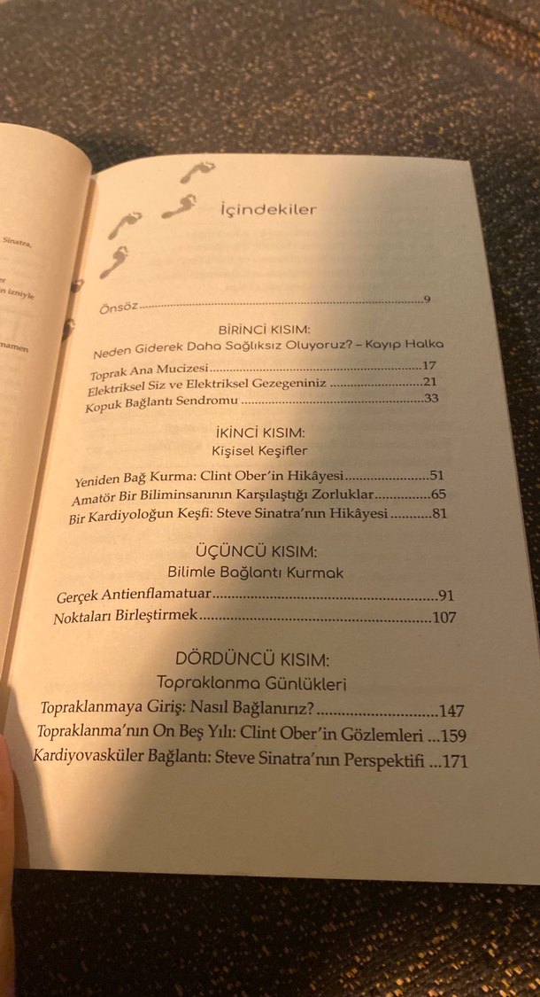 Topraklanma - Doğadan Gelen Şifa Kitabı - Görsel 4