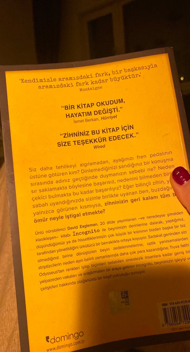 Incognito - Beynin Gizli Hayatı - Görsel 3