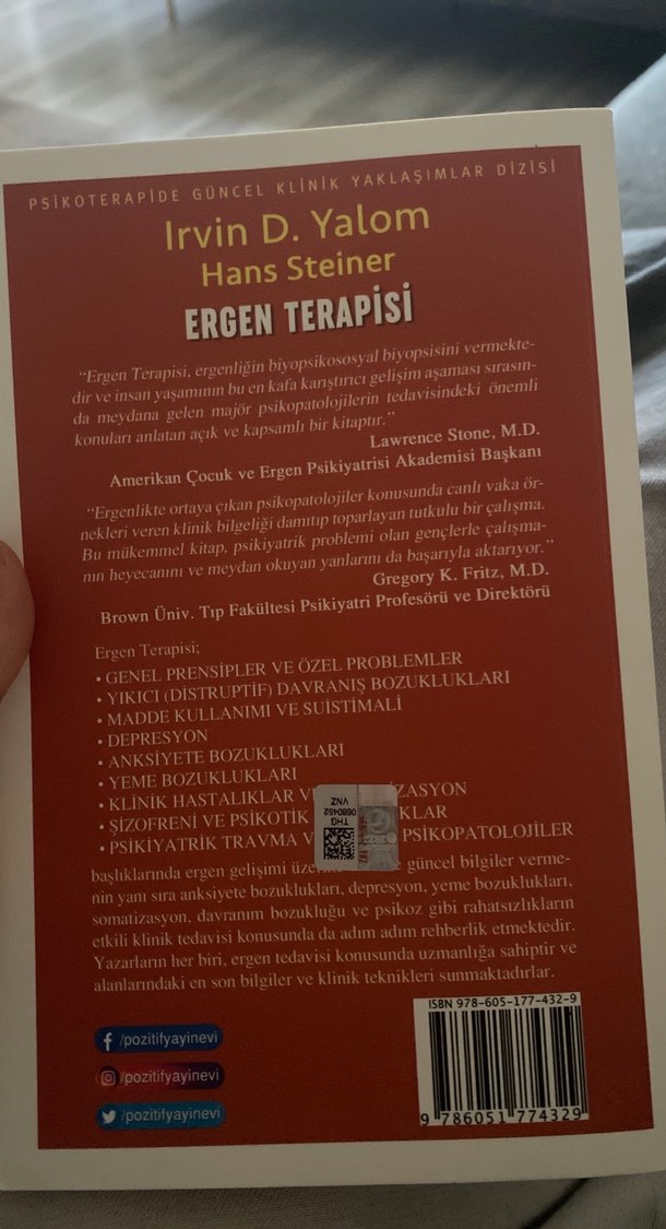 Ergen Terapisi - Irvin D. Yalom & Hans Steiner - Görsel 2