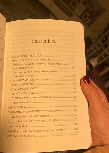 Manifest Günlüğü - Ayşe Tolga - Görsel 2