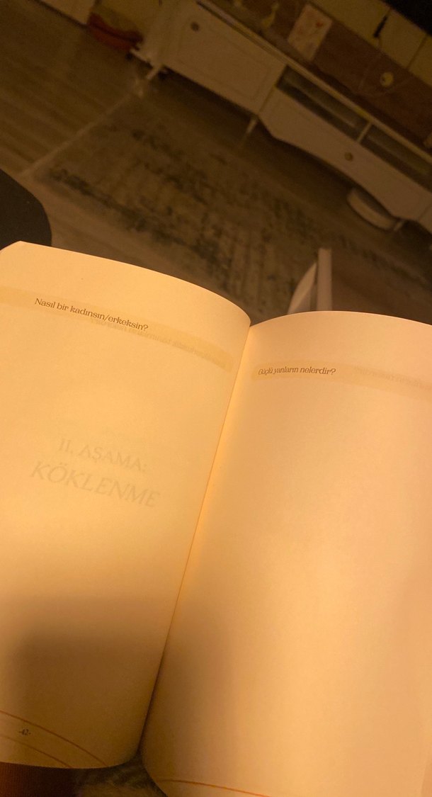 Manifest Günlüğü - Ayşe Tolga - Görsel 4