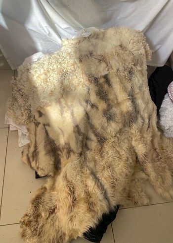 Orijinal koyun postu kilim halı
