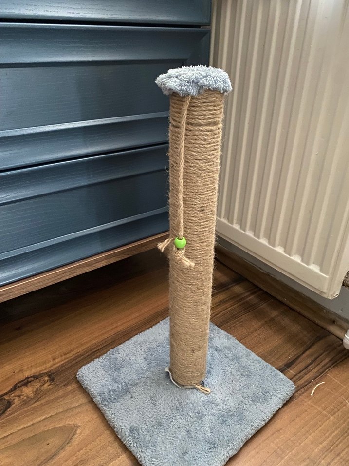 Bej Kedi Sepeti + Tuvalet + Tırmalama - Görsel 3