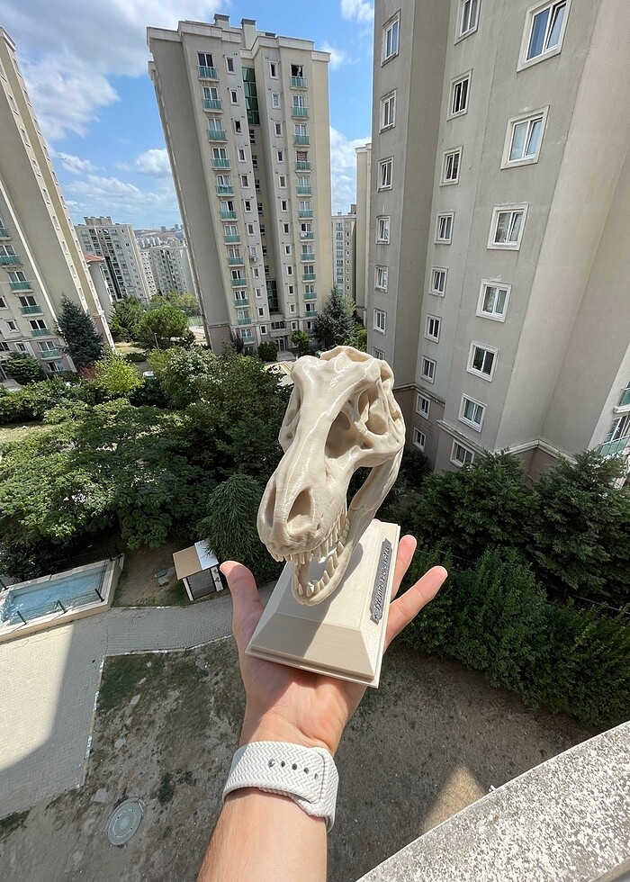 3D T-Rex Kafatası - Görsel 2