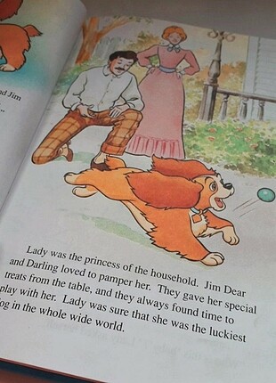  Beden Renk Lady & the tramp 