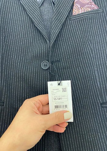 Gri Zebra Desenli Düğmeli Erkek Ceket - Görsel 3