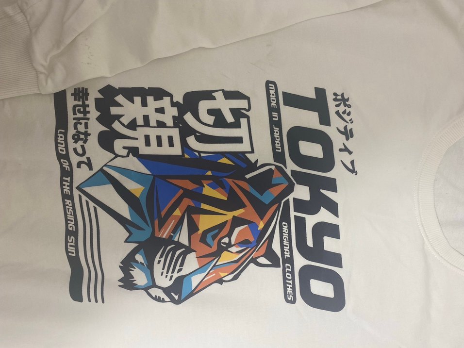 Beyaz Baskılı Erkek Çocuk Uzun Kollu Tişört - Görsel 2